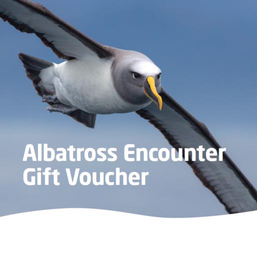 One Adult Albatross Watch Gift Voucher