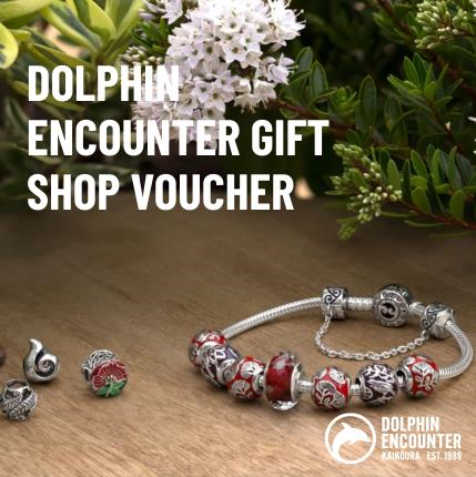 $20 Retail Gift Voucher