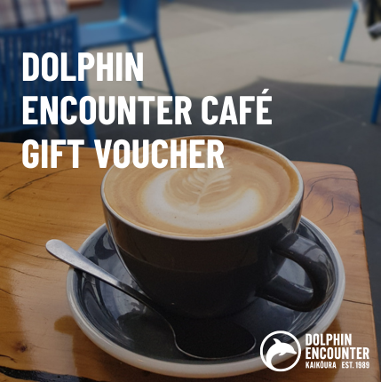 $100 Cafe Gift Voucher